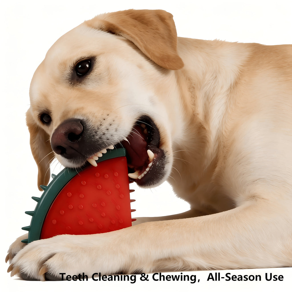 Frozen Puzzle Dog Toys