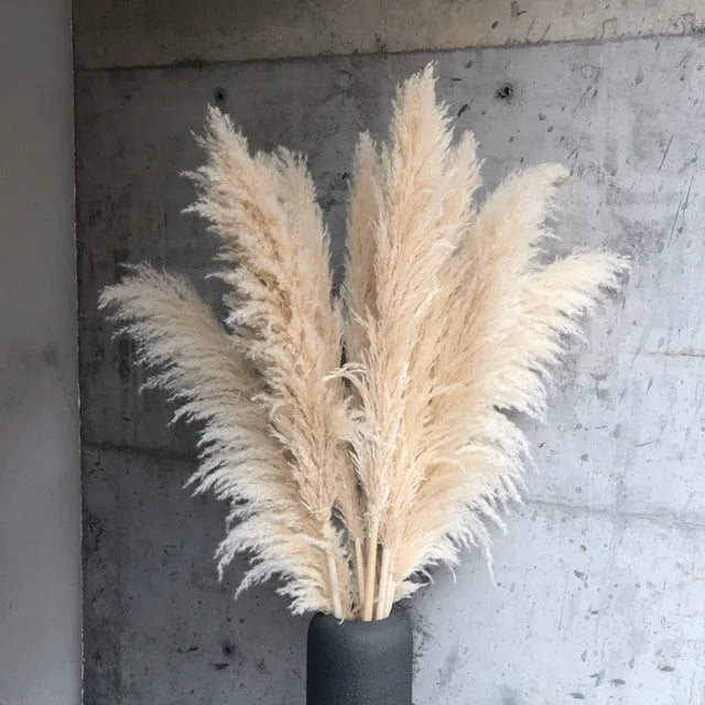 Hierba de Pampas BohoBliss Secada para Decoración Bohemia del Hogar y Centros de Mesa