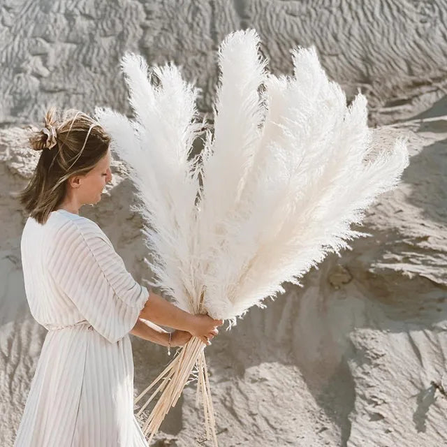 Hierba de Pampas BohoBliss Secada para Decoración Bohemia del Hogar y Centros de Mesa