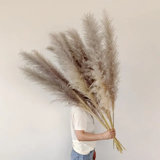Hierba de Pampas BohoBliss Secada para Decoración Bohemia del Hogar y Centros de Mesa