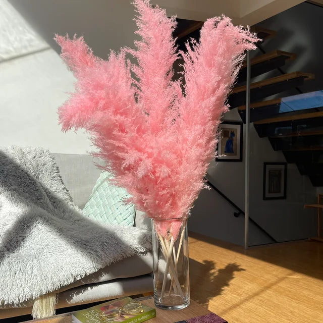 Hierba de Pampas BohoBliss Secada para Decoración Bohemia del Hogar y Centros de Mesa