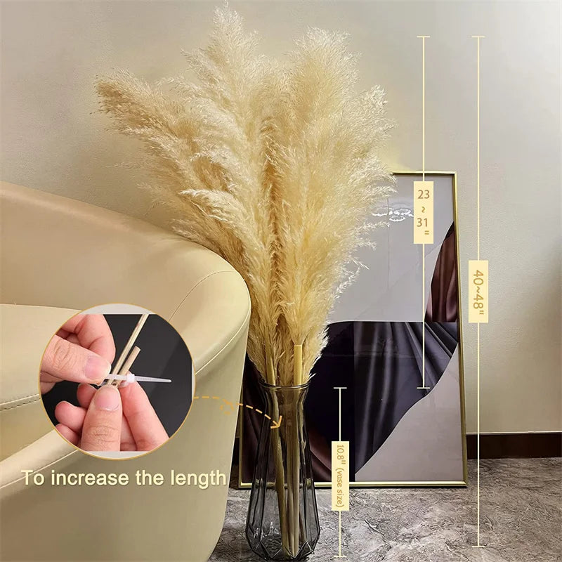 Hierba de Pampas BohoBliss Secada para Decoración Bohemia del Hogar y Centros de Mesa