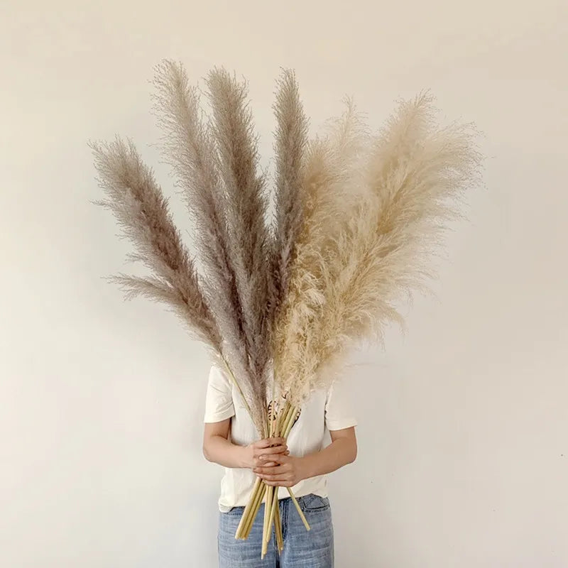 Hierba de Pampas BohoBliss Secada para Decoración Bohemia del Hogar y Centros de Mesa