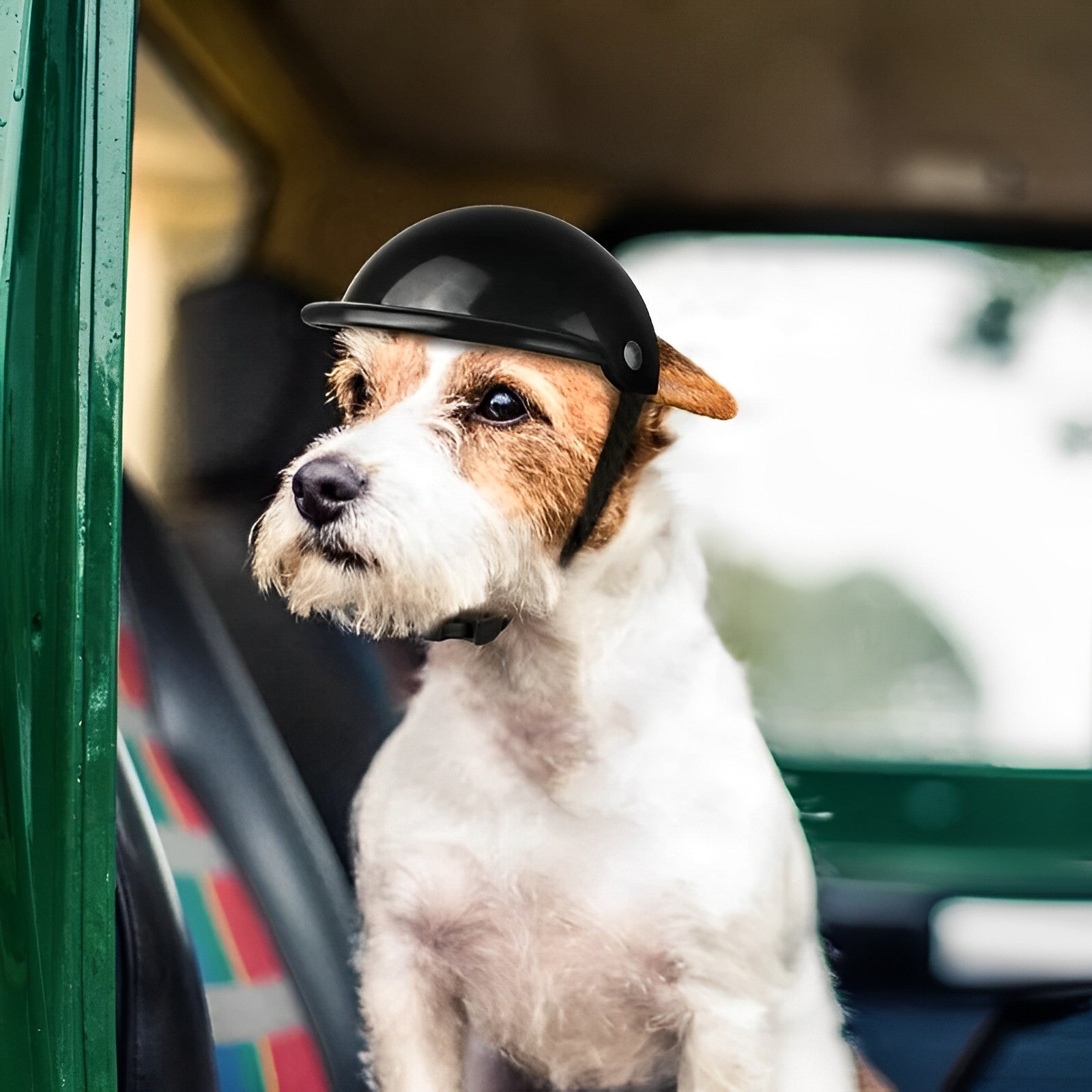 Dog Motorcycle Helmet With Goggles For Rides And Travel