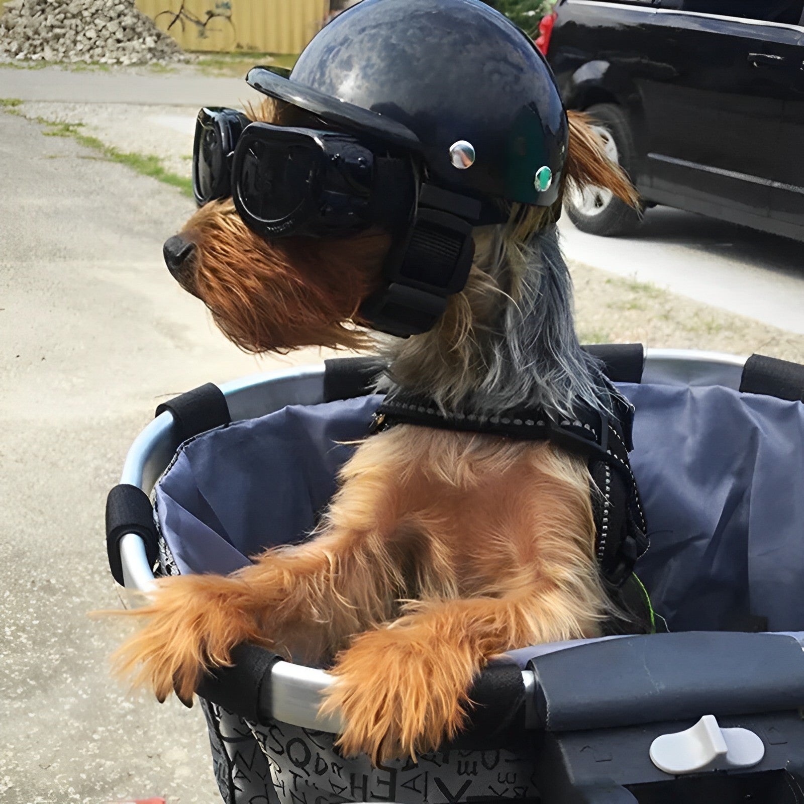 Dog Motorcycle Helmet With Goggles For Rides And Travel