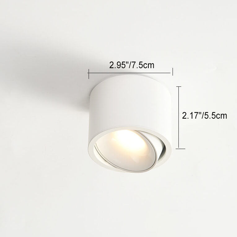 AstraGlow Circular LED Spotlight Ceiling Light With Flush Mount