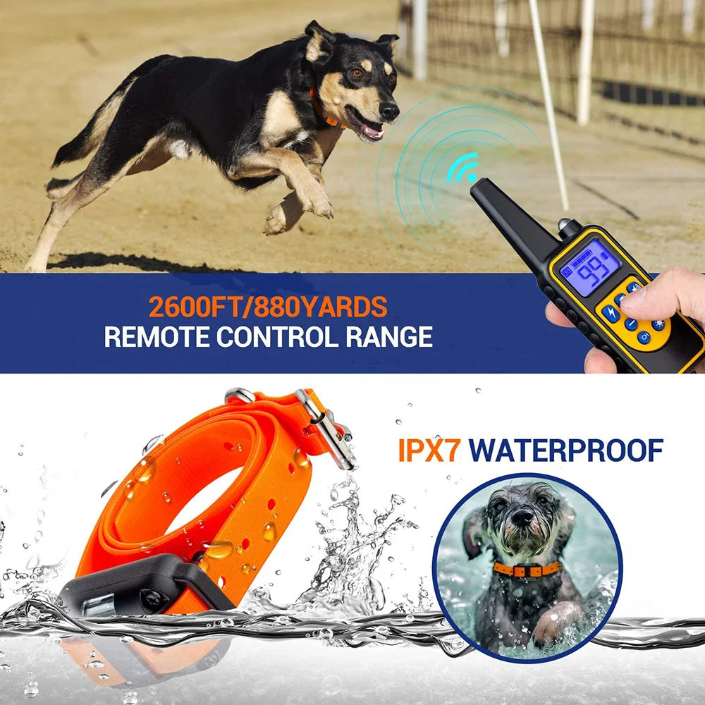 800M Reichweite Wiederaufladbares Elektrisches Hundetrainingshalsband