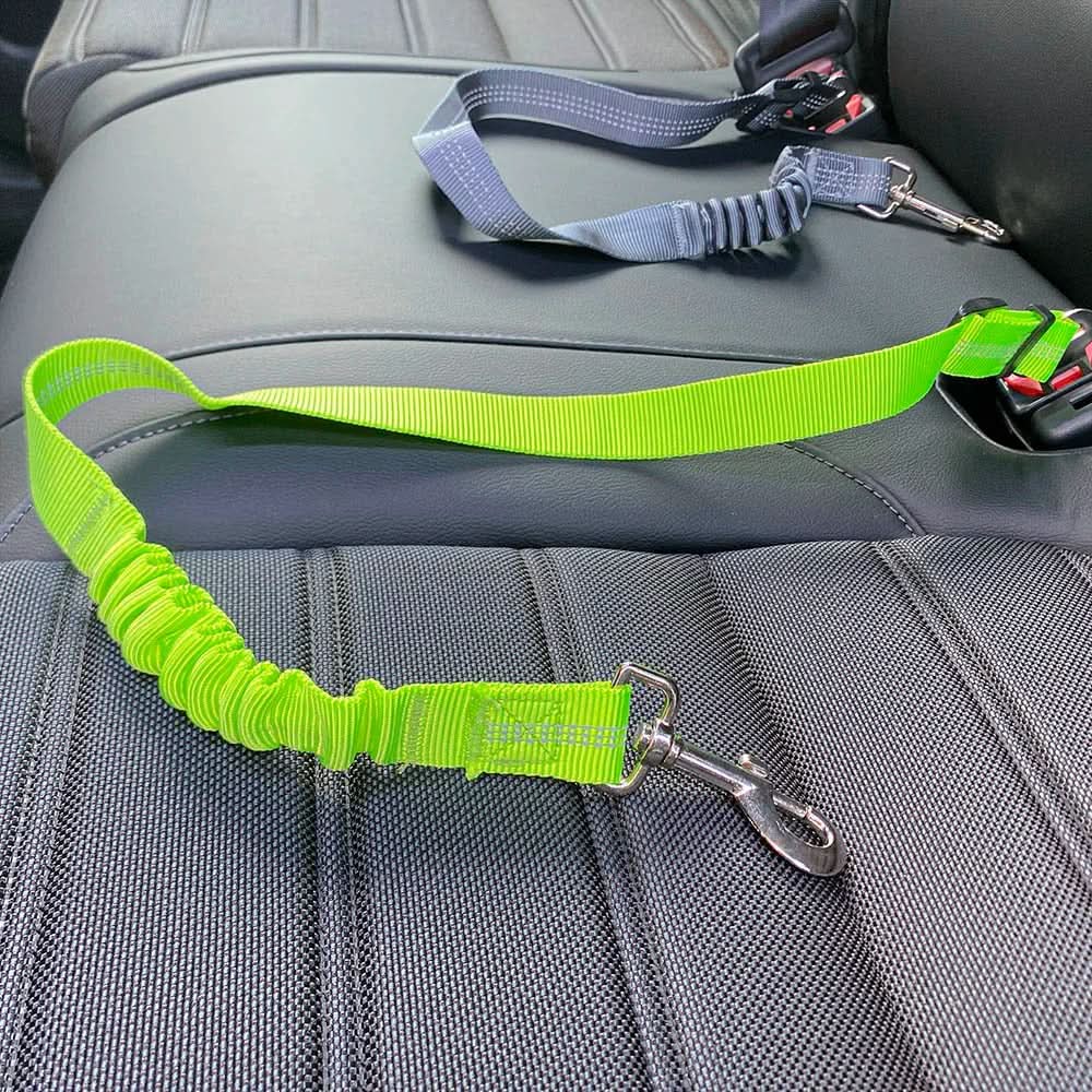 PawGuard Cintura di Sicurezza Regolabile per Cani in Auto