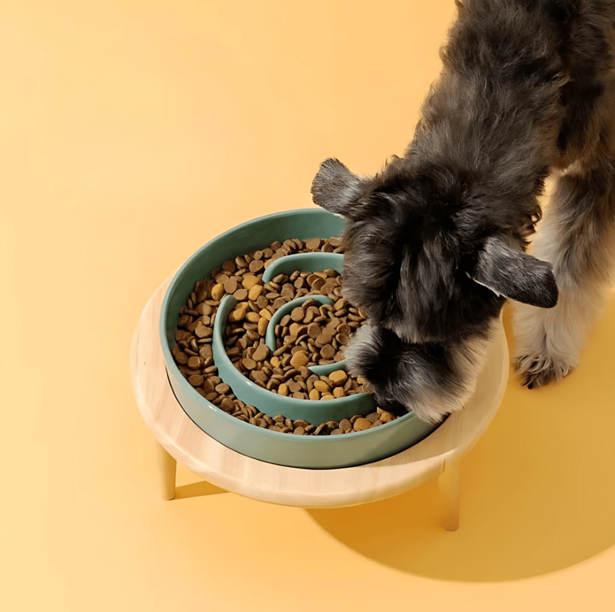 ZenPaws Premium Slow Feeder Bowl For Dogs And Cats