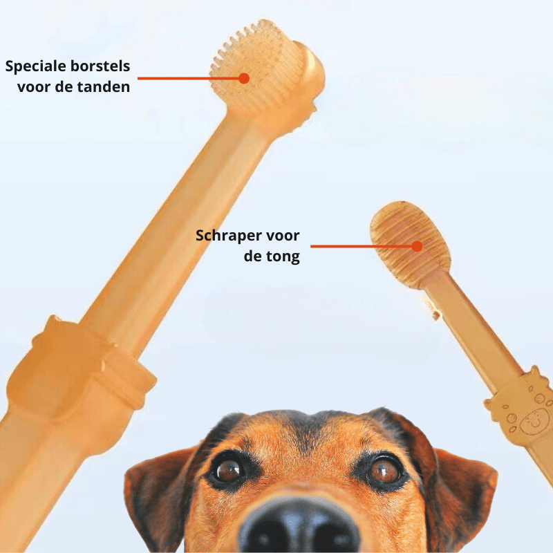 CuddleCare Gentle Silicone Toothbrush for Dogs and Cats