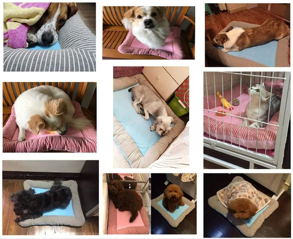 CoolPaw Cooling Pet Bed for Hot Days and Summer Comfort