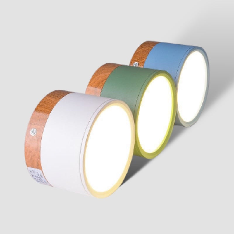 LumaNova LED Ceiling Light Downlight for Living Room Modern Minimalist Fixture