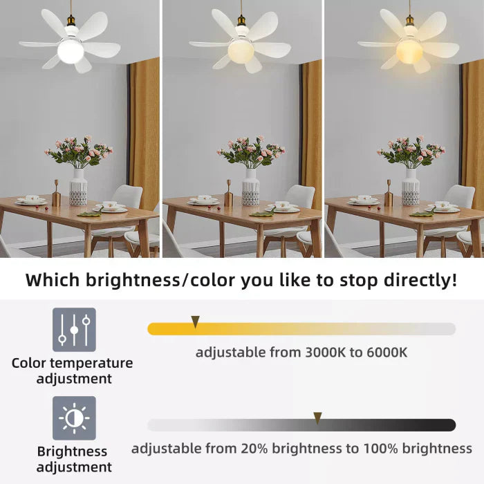 Lumera Ceiling Fan Lamp