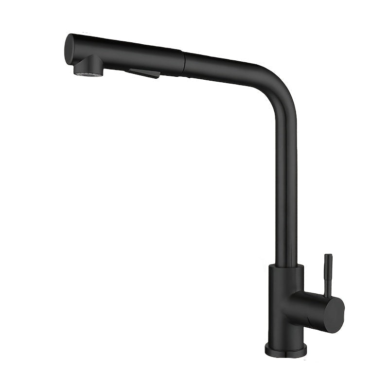 Pull Out Sink Faucet with Modern Stainless Design