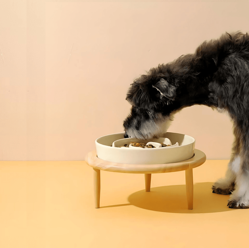 ZenPaws Premium Slow Feeder Bowl For Dogs And Cats
