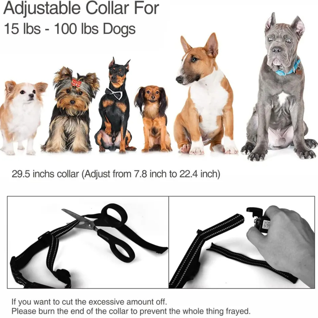 Intelligent Canine Training Collar With Remote Anti Bark 3 Modes Waterproof