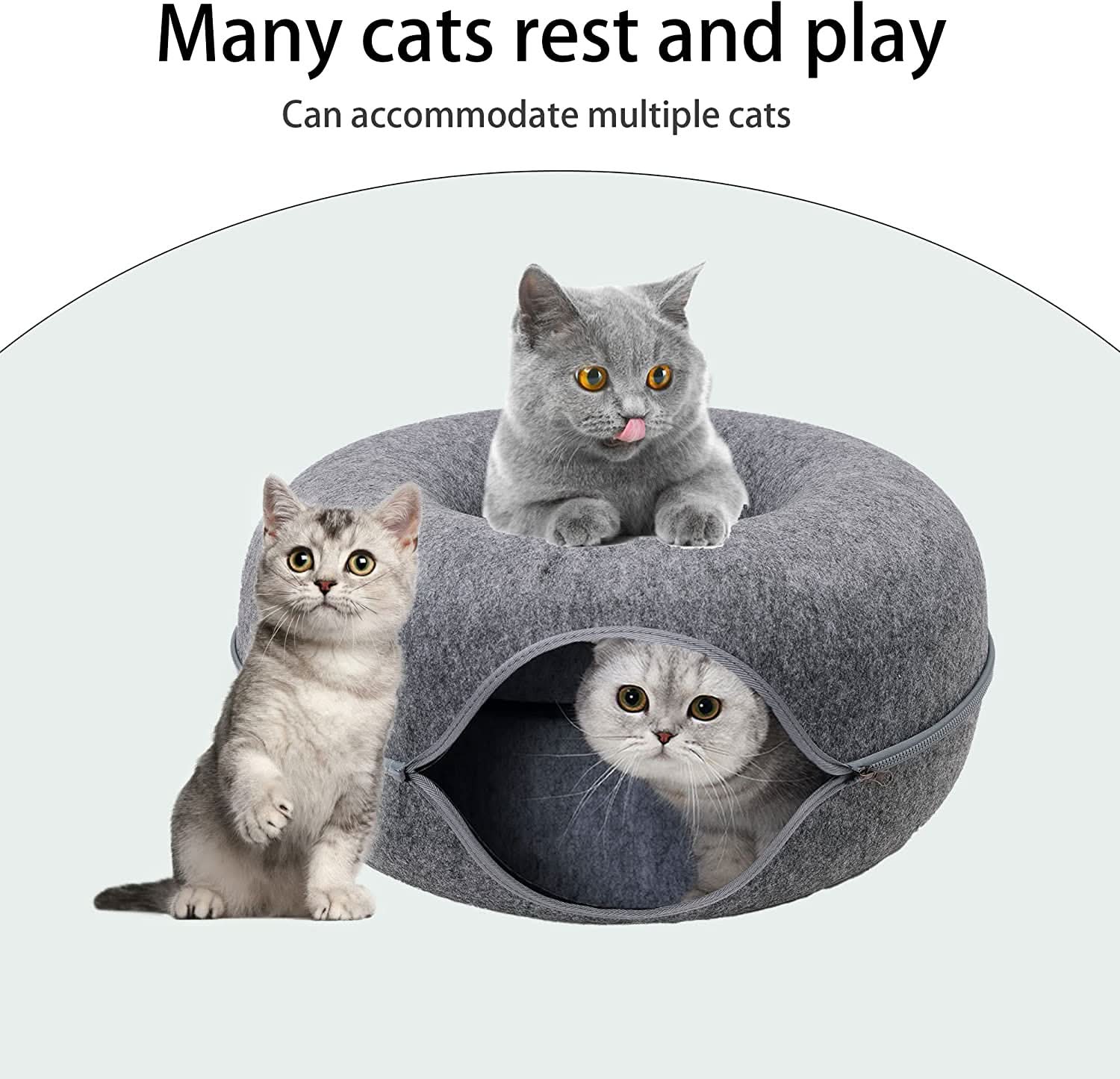 SerenePaw Tunnel Di Lusso Per Gatti Con Area Dormitorio Per Gatti Da Interno