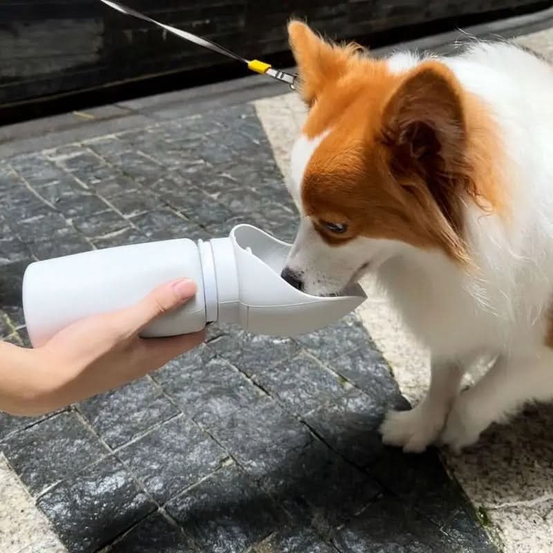 TrailMate Skládací láhev na vodu pro domácí mazlíčky, objem 550 ml