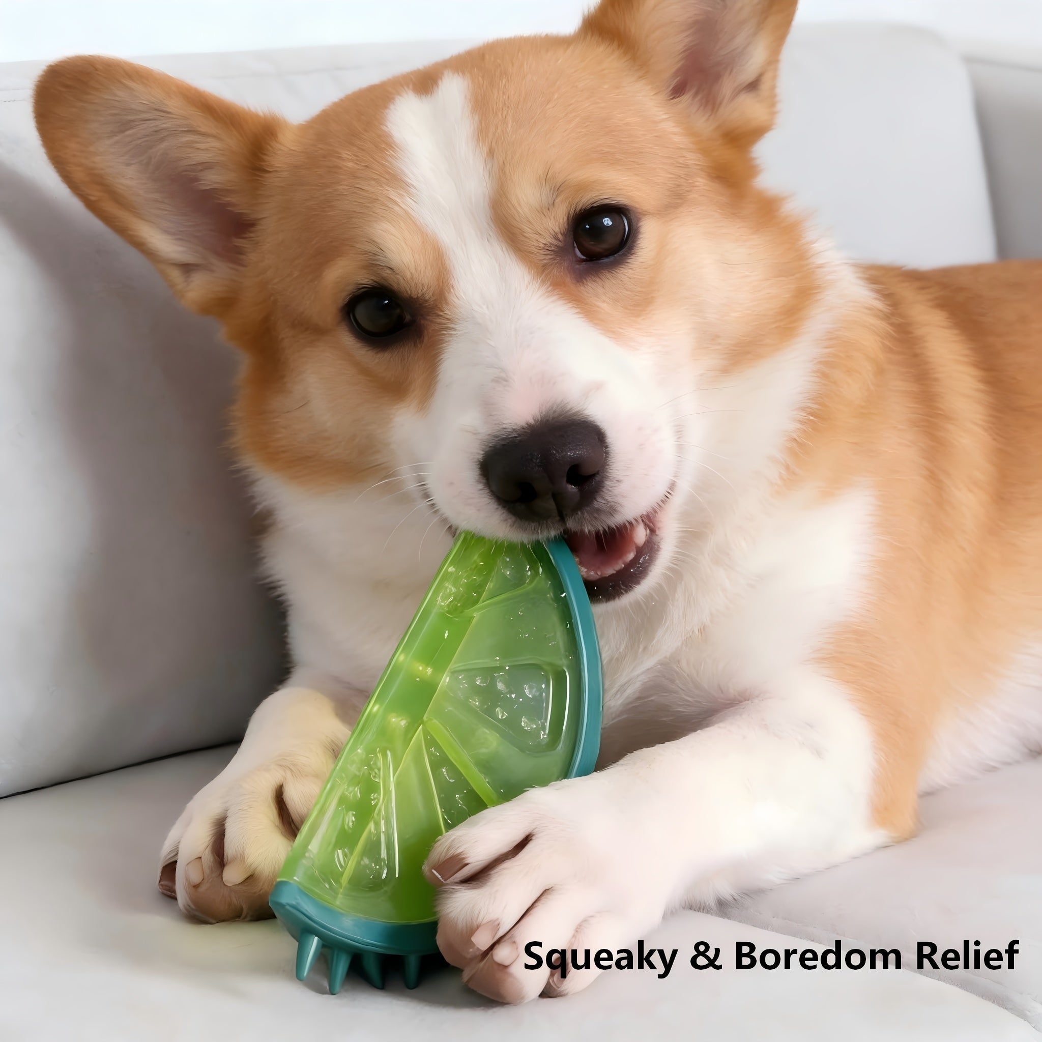 Frozen Puzzle Dog Toys