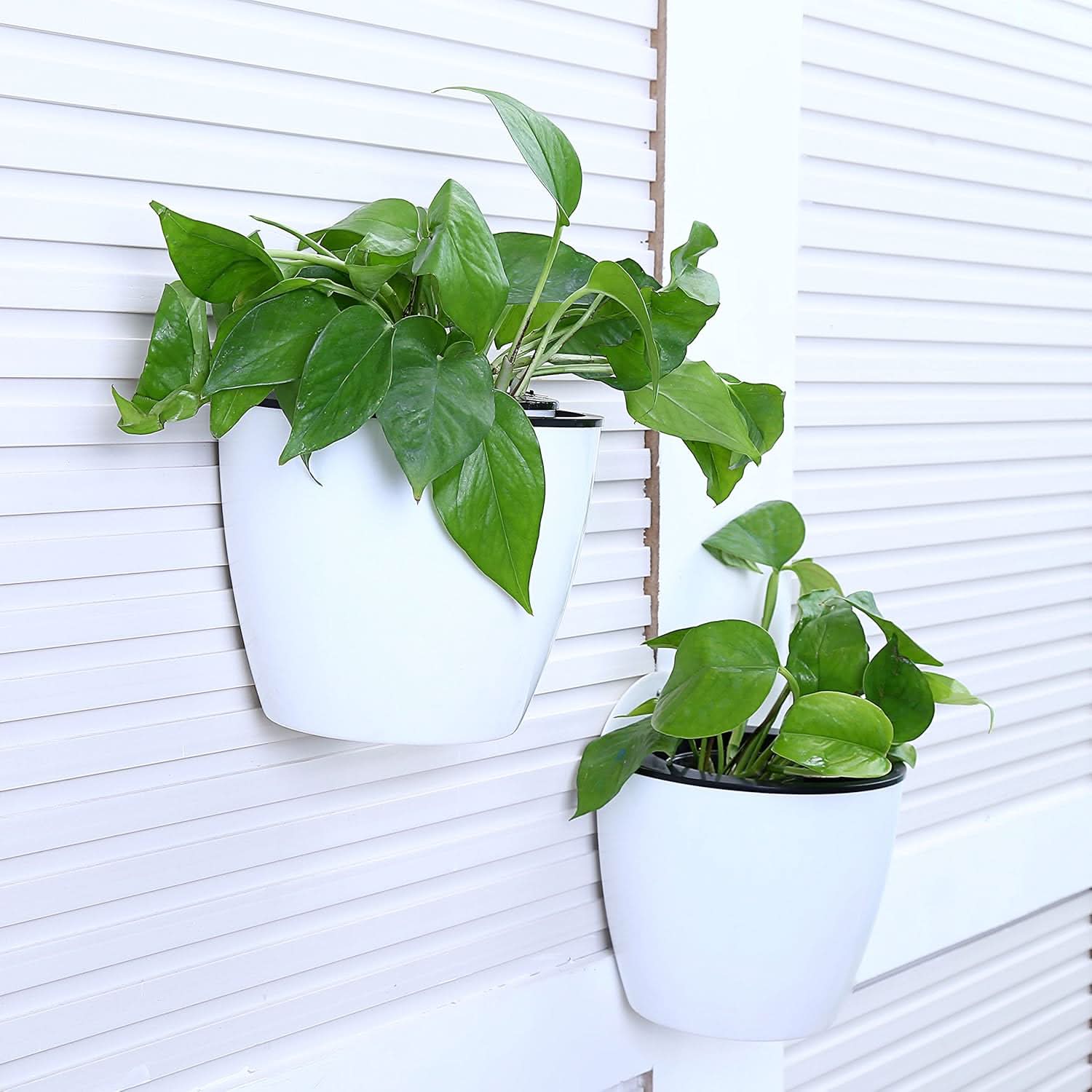 VerdantWall Vertical Self Watering Flower Pot For Modern Living