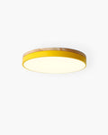 Ceiling Light From ArborLume Circular Fixture For Modern Interiors