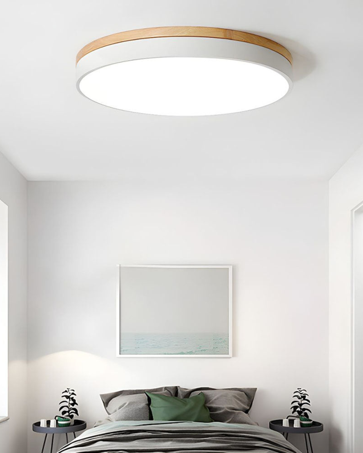 Ceiling Light From ArborLume Circular Fixture For Modern Interiors