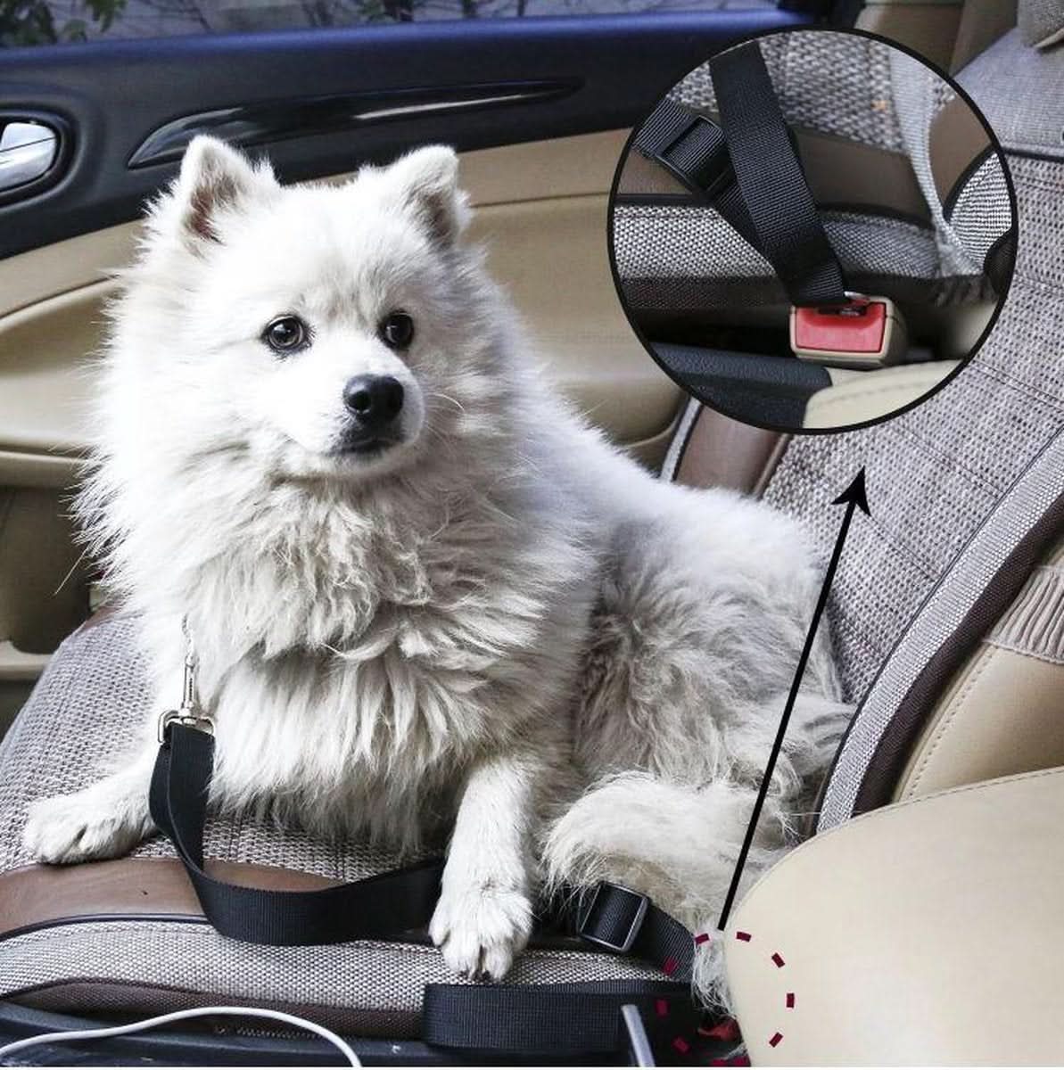 PetGuard Verstellbarer Autosicherheitsgurt für Haustiere auf Reisen