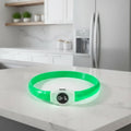 Collare per Cani con Luce LED LumaPaw per Passeggiate Notturne Sicure all'Aperto