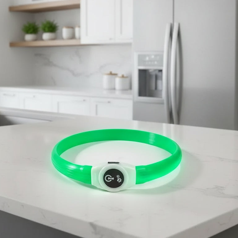 Collare per Cani con Luce LED LumaPaw per Passeggiate Notturne Sicure all'Aperto