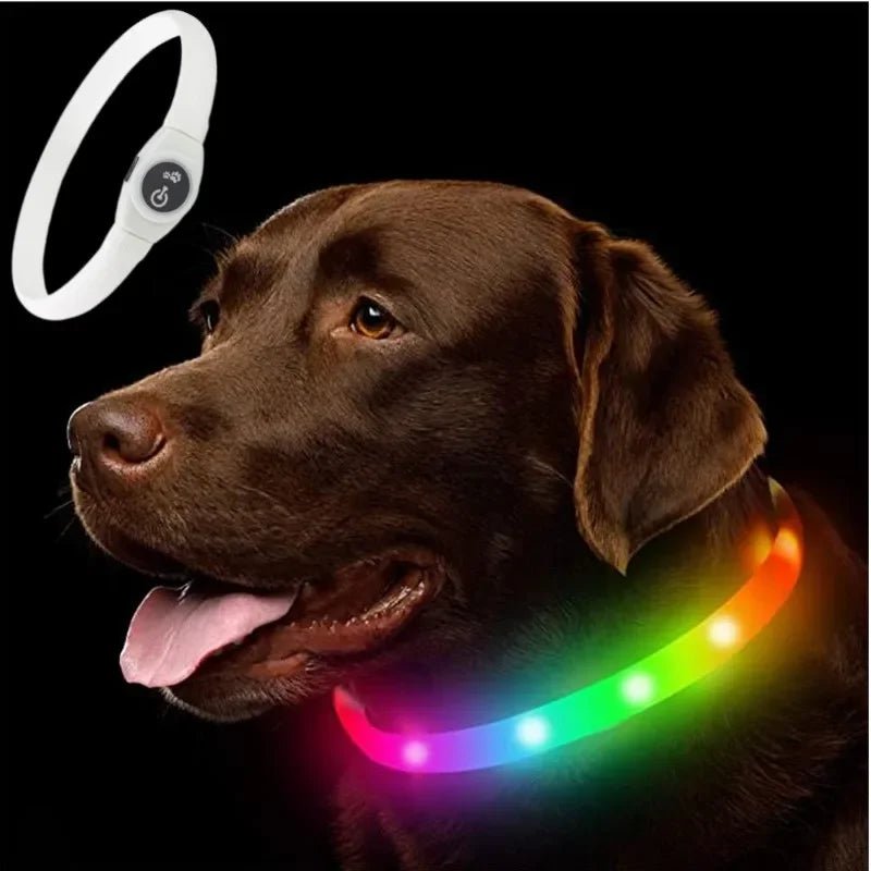 Collare per Cani con Luce LED LumaPaw per Passeggiate Notturne Sicure all'Aperto