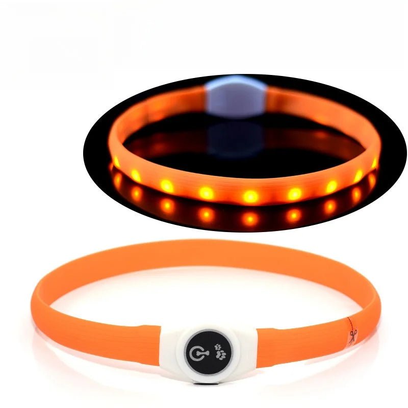 Collare per Cani con Luce LED LumaPaw per Passeggiate Notturne Sicure all'Aperto
