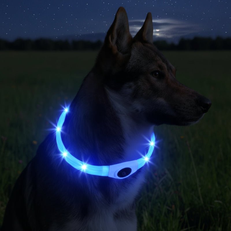 Collare per Cani con Luce LED LumaPaw per Passeggiate Notturne Sicure all'Aperto