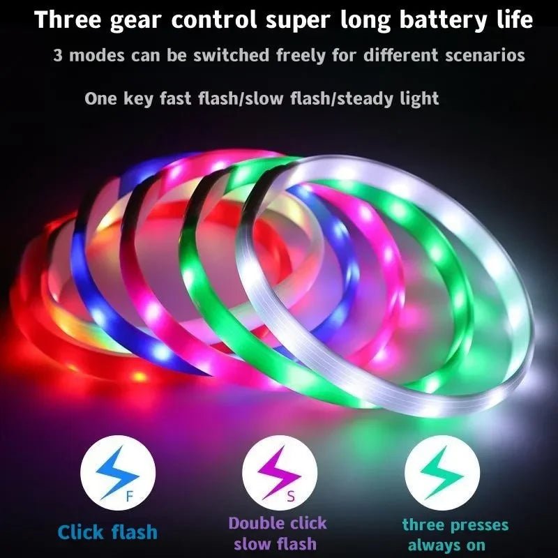 Collare per Cani con Luce LED LumaPaw per Passeggiate Notturne Sicure all'Aperto