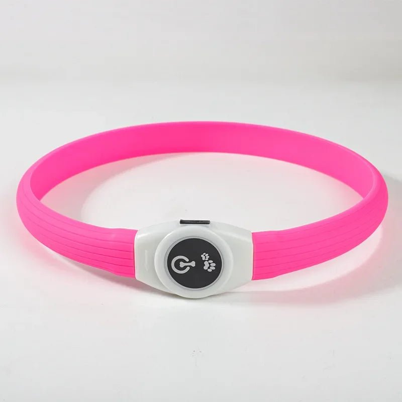 Collare per Cani con Luce LED LumaPaw per Passeggiate Notturne Sicure all'Aperto