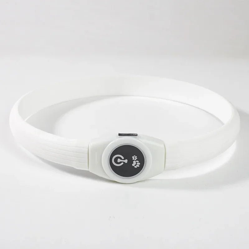 Collare per Cani con Luce LED LumaPaw per Passeggiate Notturne Sicure all'Aperto