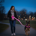 LumaTrail LED Dog Leash With USB Charging And Reflective Design