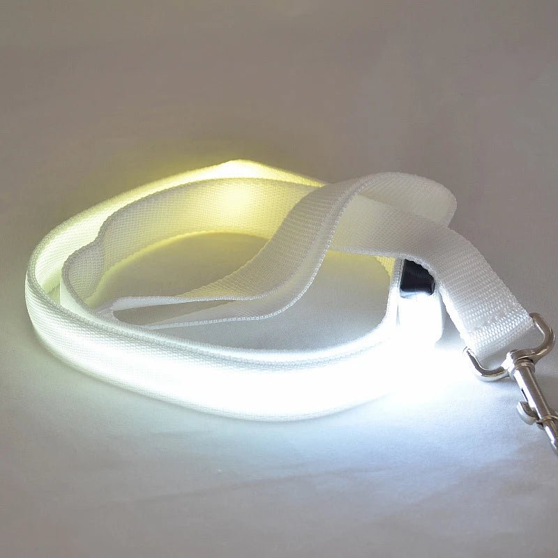 LumaTrail LED Dog Leash With USB Charging And Reflective Design