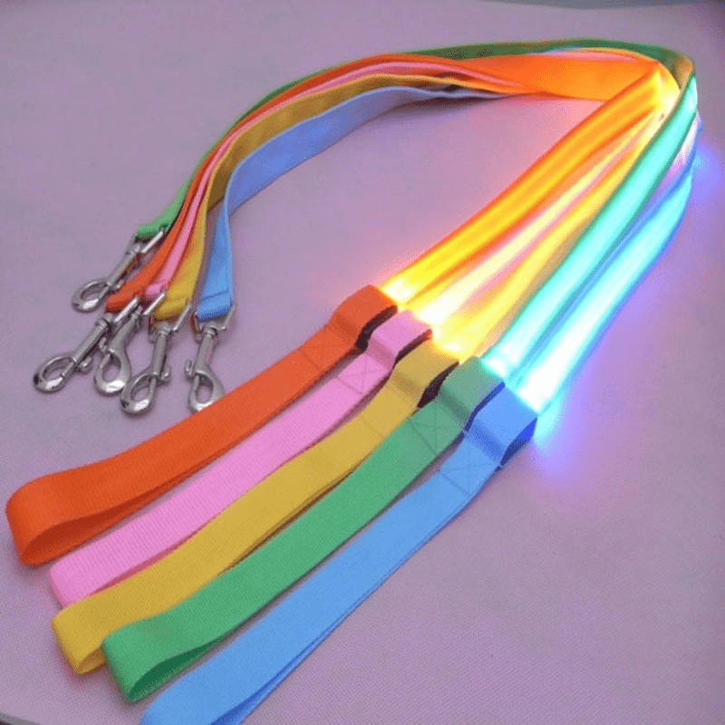 LumaTrail LED Dog Leash With USB Charging And Reflective Design