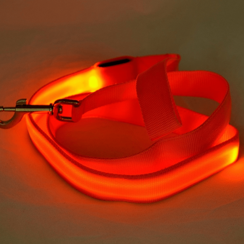 LumaTrail LED Dog Leash With USB Charging And Reflective Design