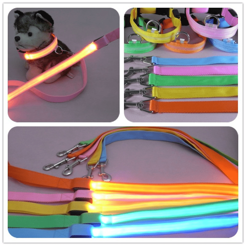LumaTrail LED Dog Leash With USB Charging And Reflective Design