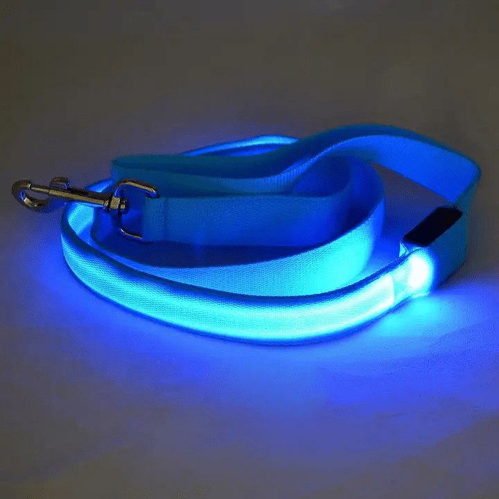 LumaTrail LED Dog Leash With USB Charging And Reflective Design