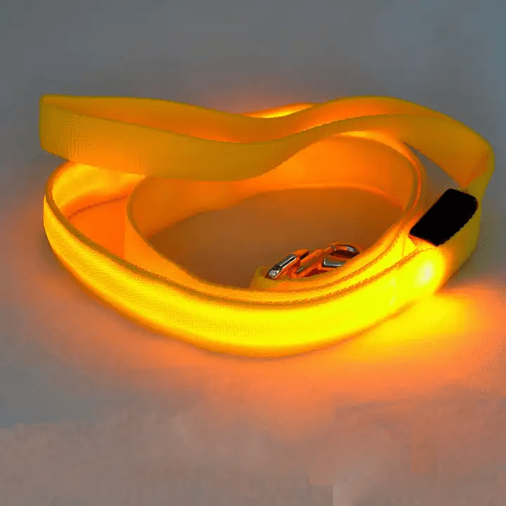 LumaTrail LED Dog Leash With USB Charging And Reflective Design