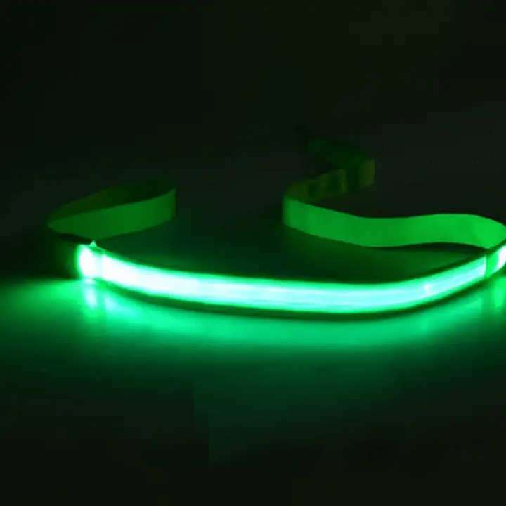 LumaTrail LED Dog Leash With USB Charging And Reflective Design