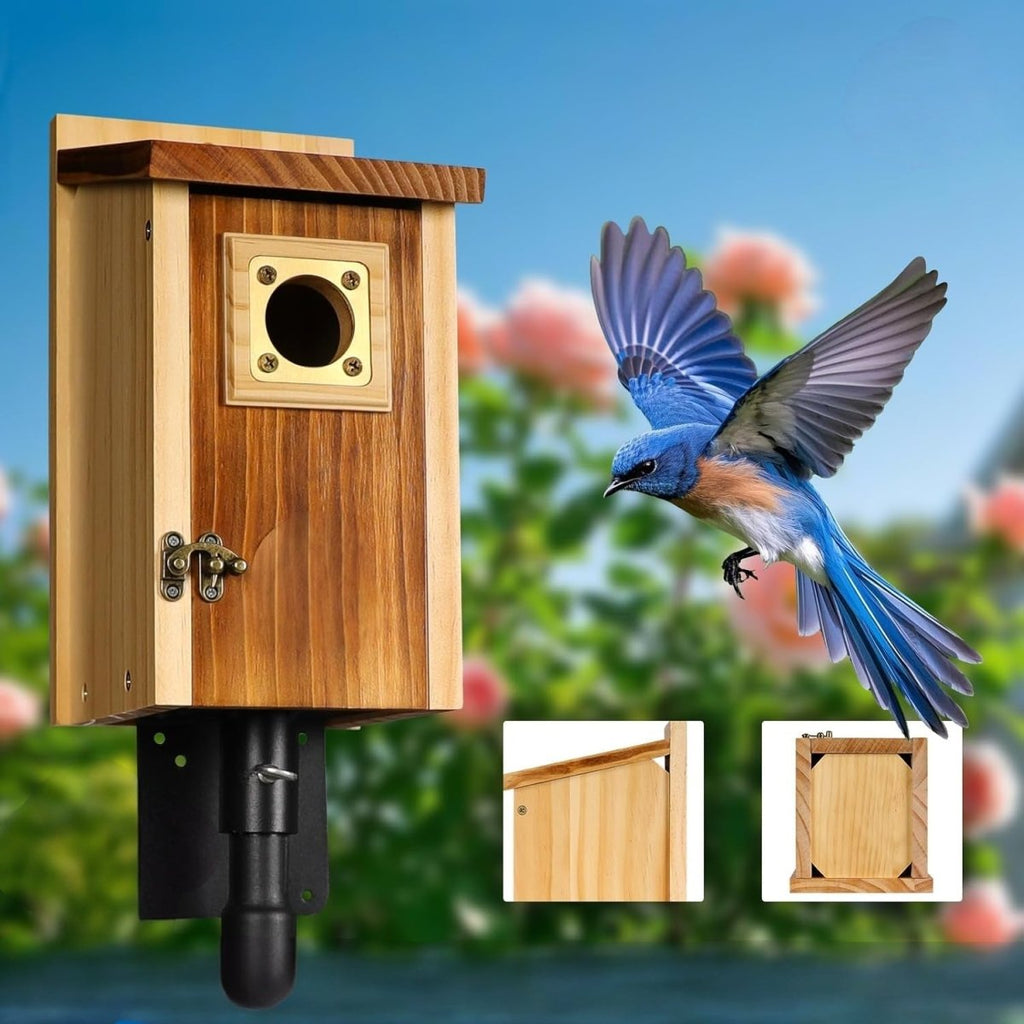 EverNest Nistkasten aus Zedernholz für Eichelhäher, Schwalben und kleine Vögel