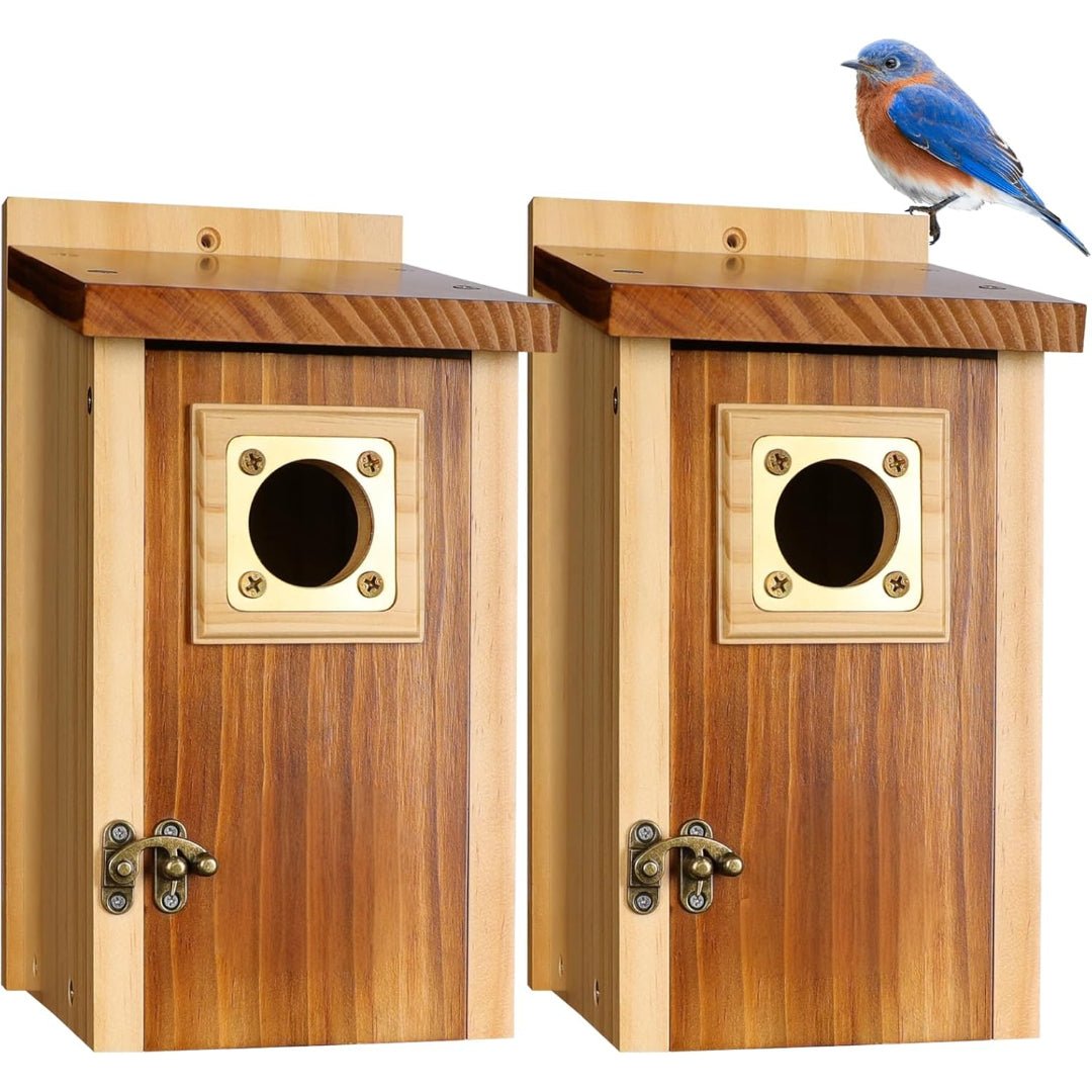 EverNest Nistkasten aus Zedernholz für Eichelhäher, Schwalben und kleine Vögel