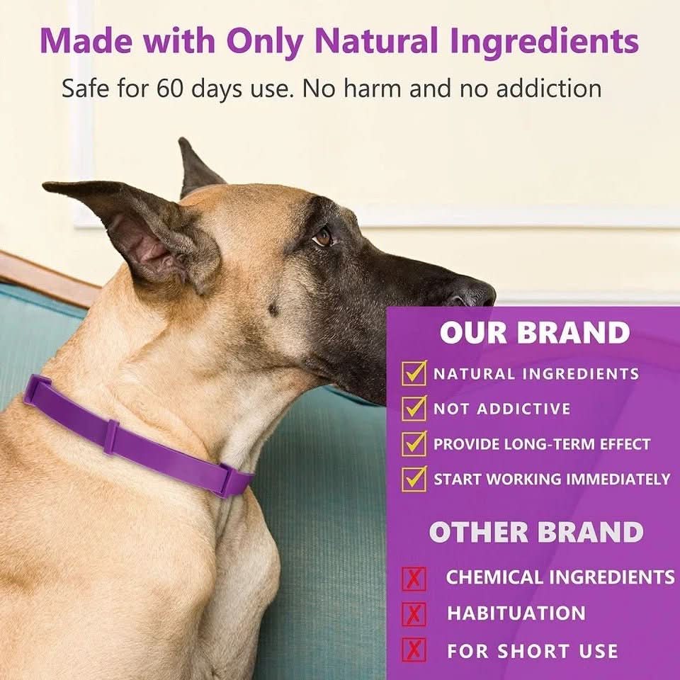 SerenePaw Calming Collar With Pheromones For Relaxed Dogs