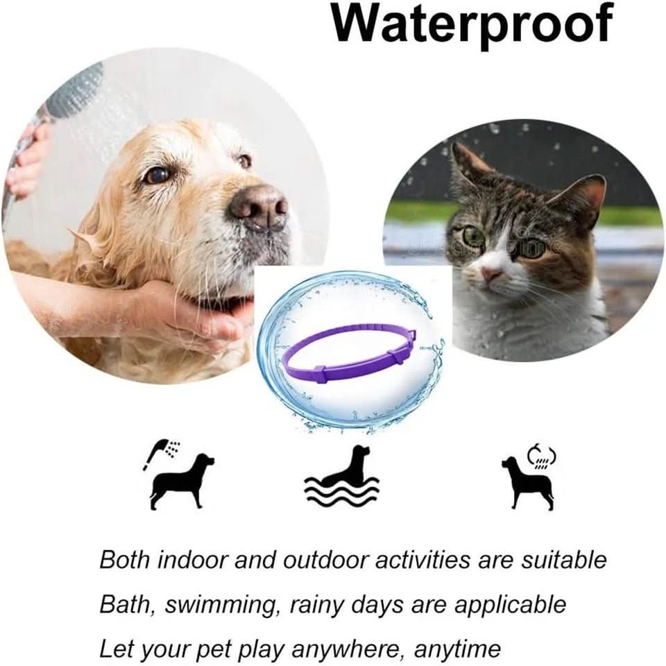 SerenePaw Calming Collar With Pheromones For Relaxed Dogs