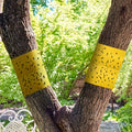 Sticky insect barrier tape for reliable plant protection