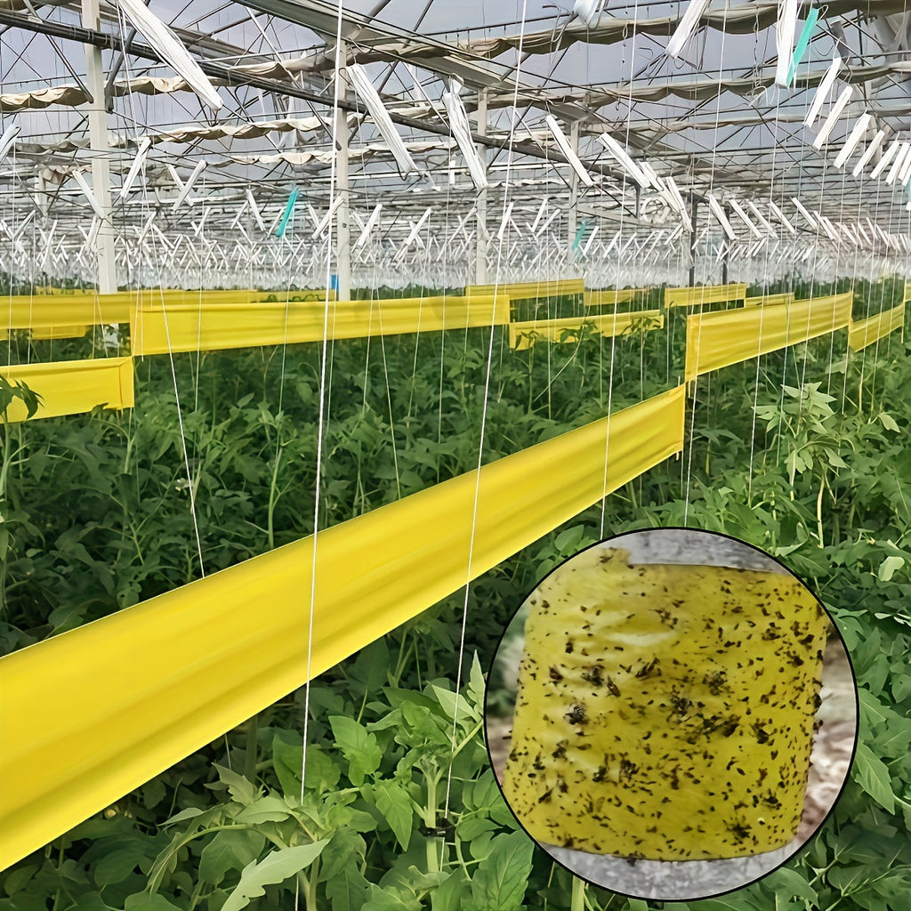 Sticky insect barrier tape for reliable plant protection