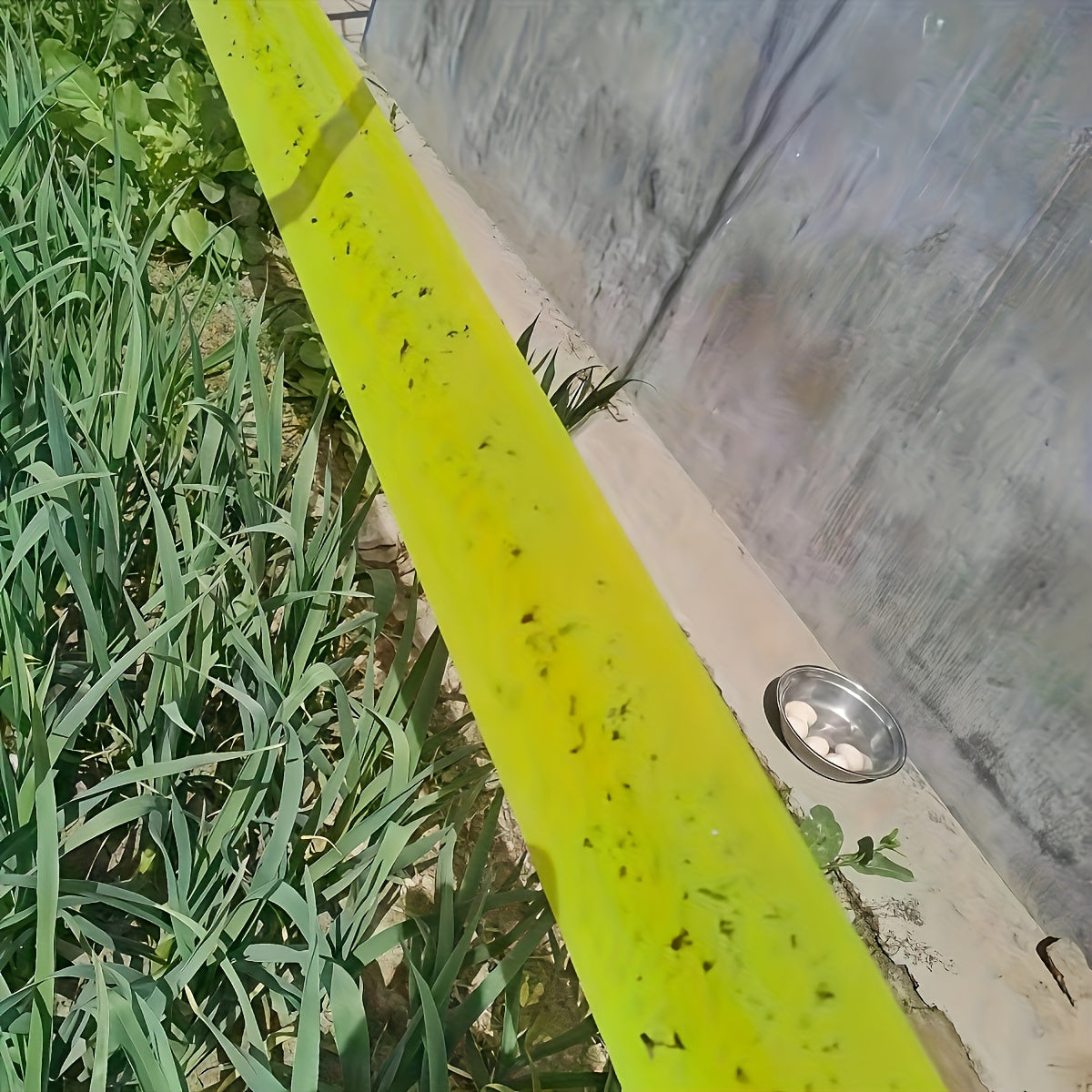 Sticky insect barrier tape for reliable plant protection